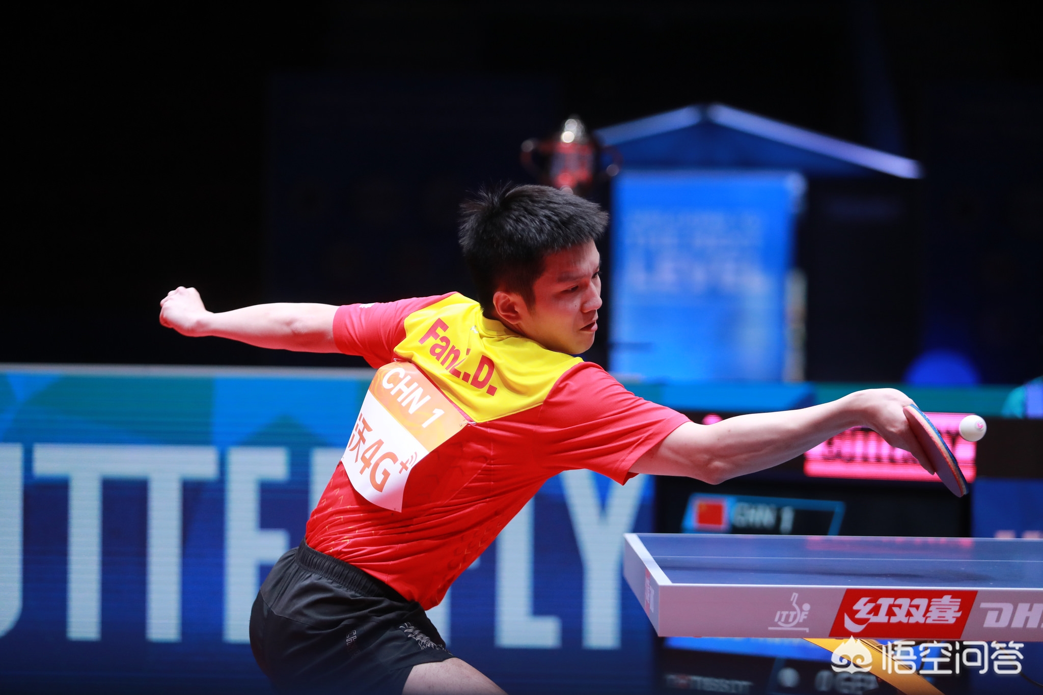 成功案例分 成功案例分