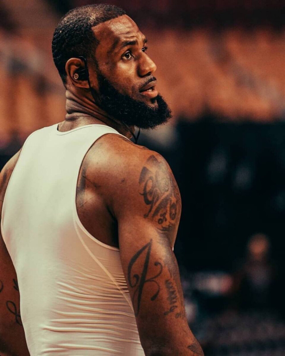 对抗被导入 对抗被导入